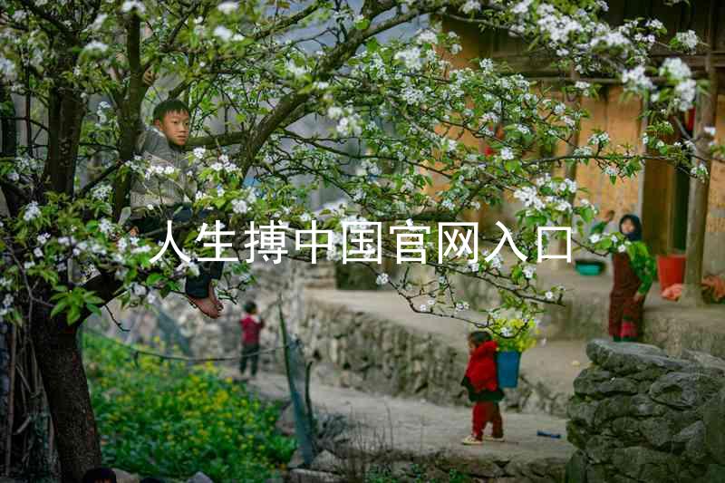 人生搏中国官网入口
