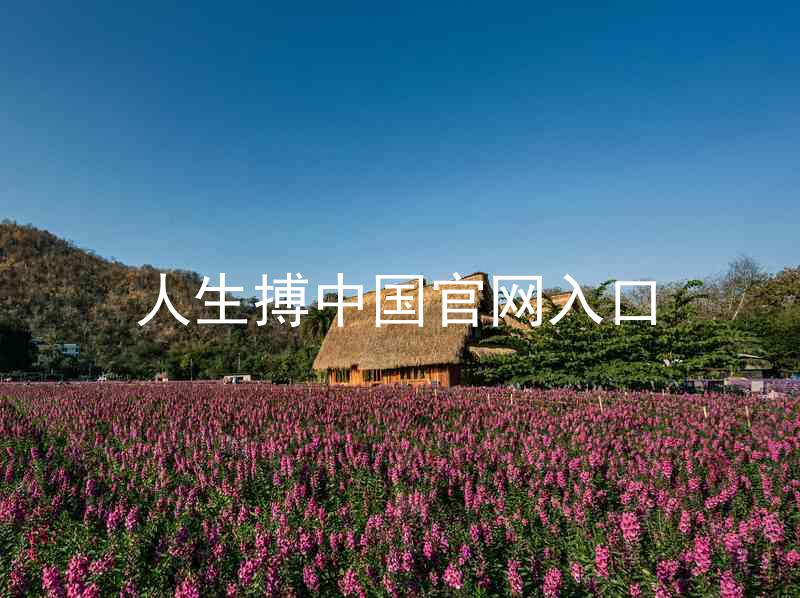 人生搏中国官网入口